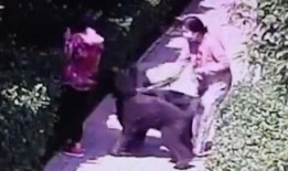 被打女子爆料新闻事件,真相与反思”