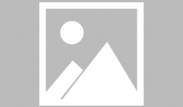 爆料最新艾尔海森的视频,神秘技能引热议，未来走向引期待